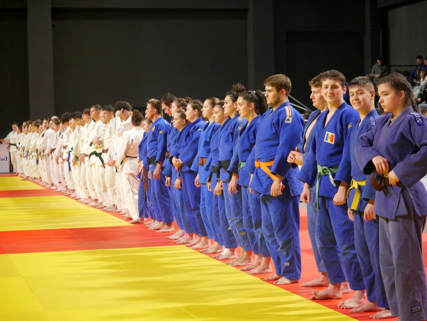 campionat judo