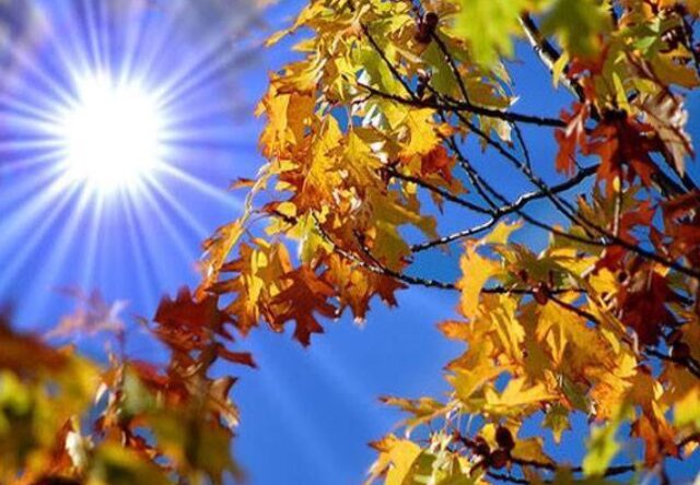 meteo 29.10 cer variabil